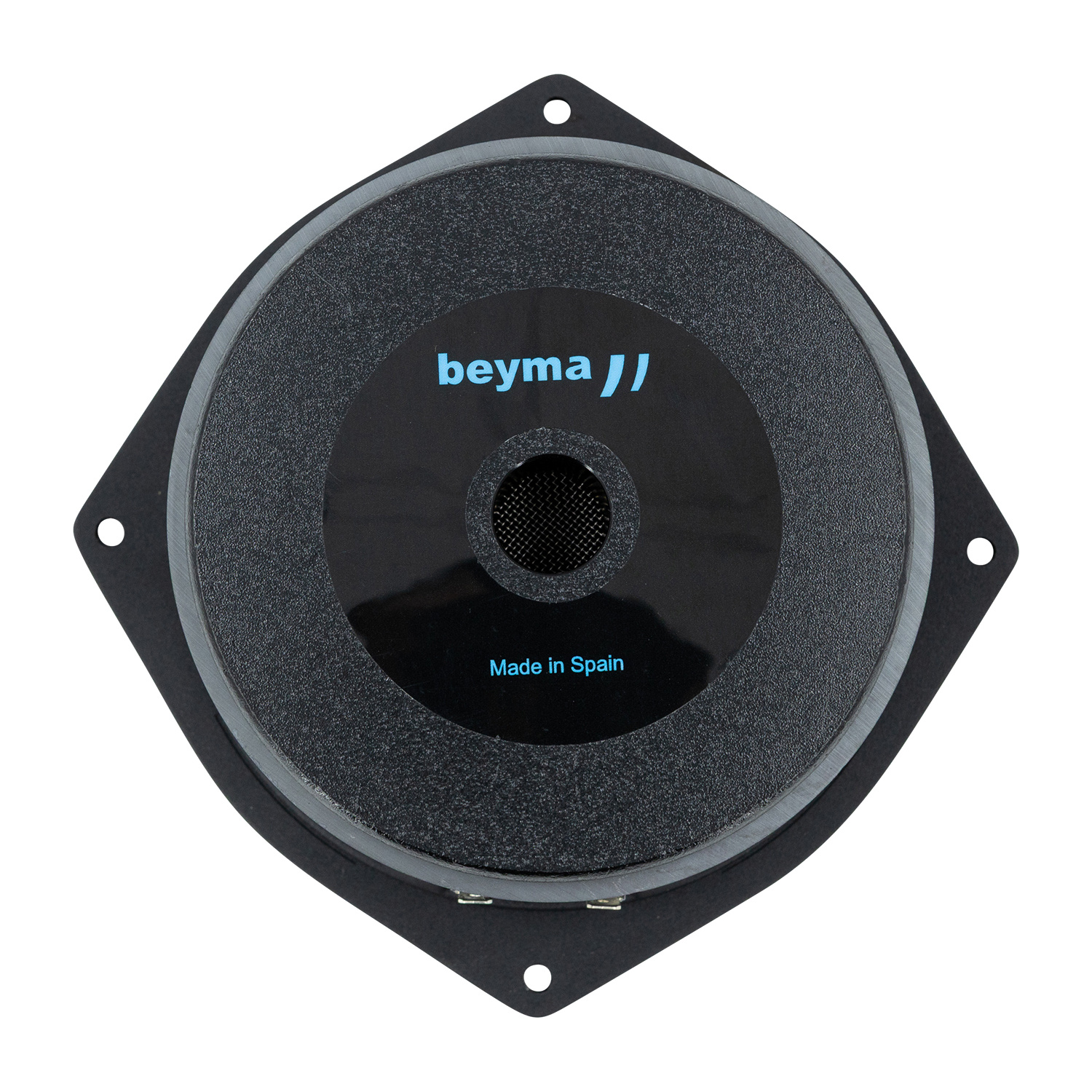 6P200Fe Bass-midwoofer