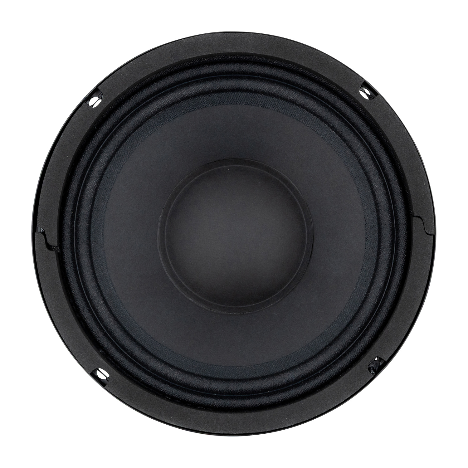 6CMV2 Bass-midwoofer