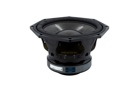 10NMFS Subwoofer