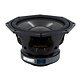 10NMFS Subwoofer