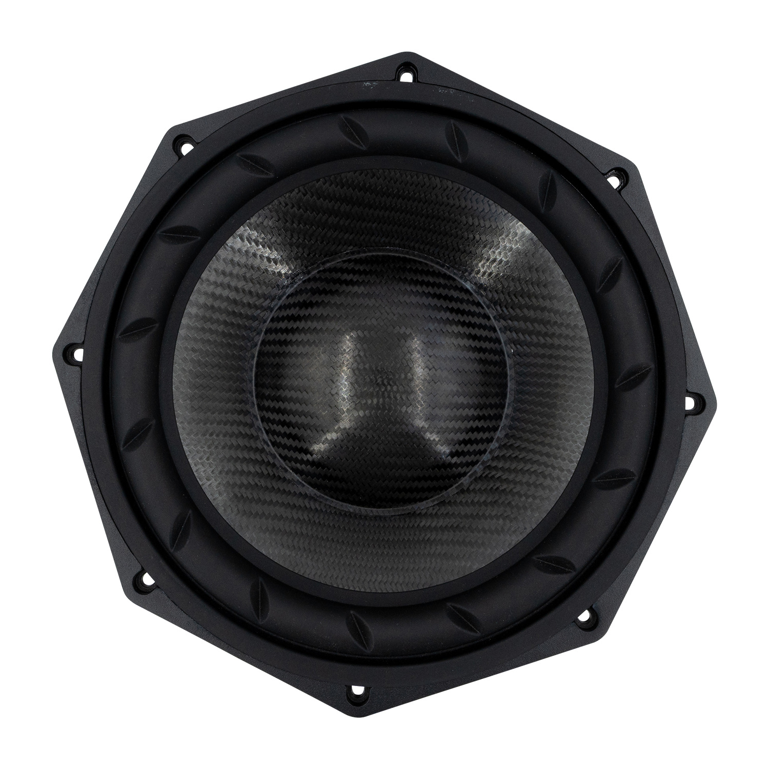 10NMFS Subwoofer