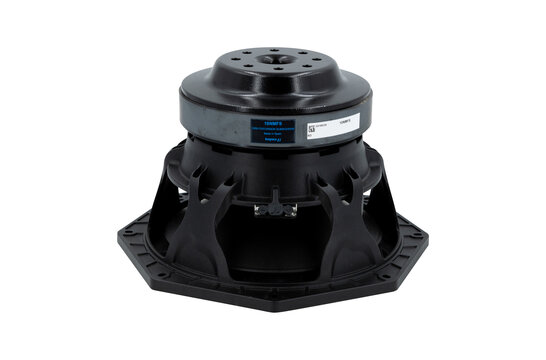 10NMFS Subwoofer