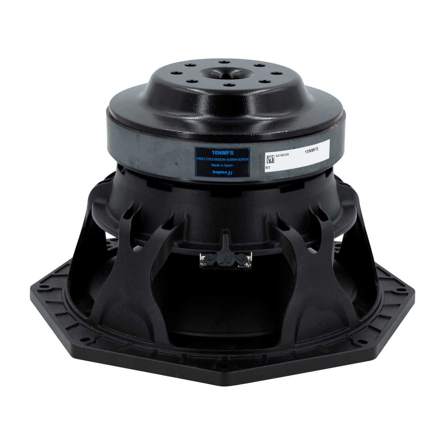 10NMFS Subwoofer