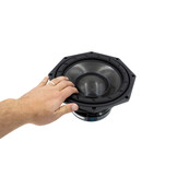 10NMFS Subwoofer