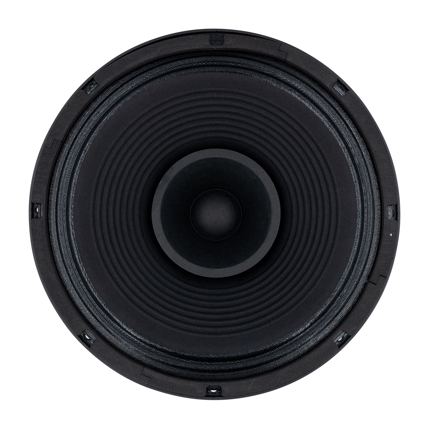 12GA50 Full-range Woofer