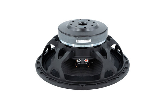 15LEX1000Fe Subwoofer 8 Ohm