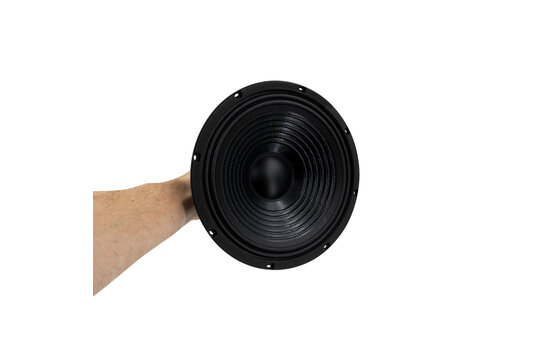 10CMV2 Bass-midwoofer 8 Ohm
