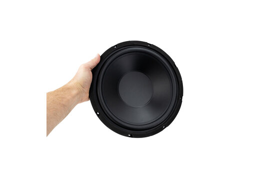 12SW-4 Subwoofer
