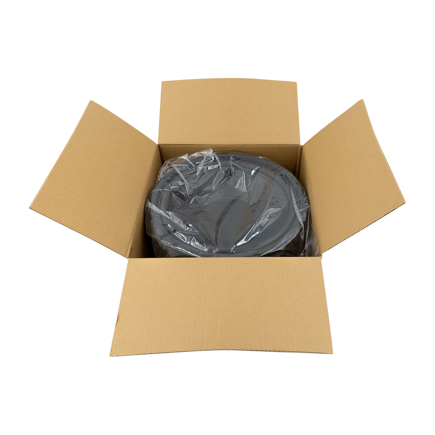 12SW-4 Subwoofer Tieftöner