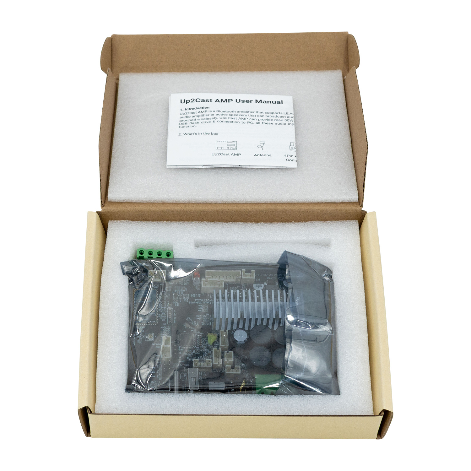 Up2Cast Stereo Amplifier