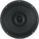 10 C 2 CP - 8 10" Koaxiallautsprecher