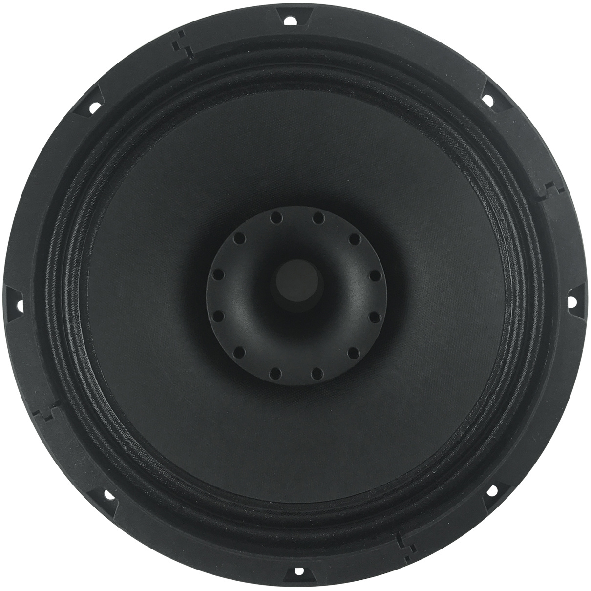 10 C 2 CP - 8 10" Coaxial woofer