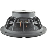 10 C 2 CP - 8 10" Coaxial woofer