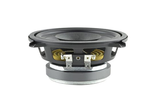 5 D 1 CS - 8 5" Full-range driver