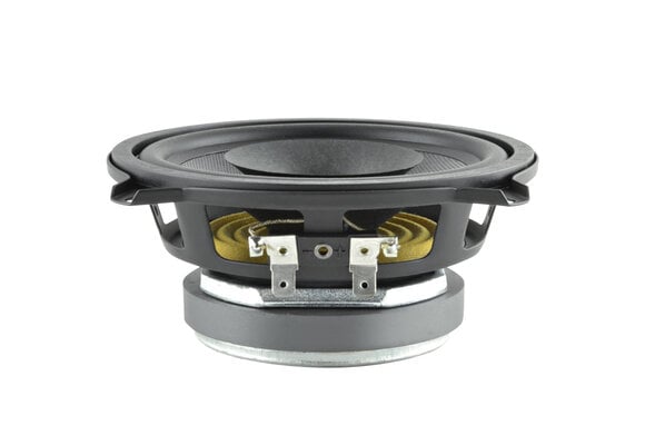 5 D 1 CS - 8 Full-range driver