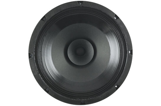 12 D 1,5 CS - 8 12" Full-range driver