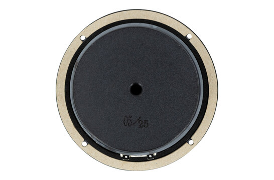DS135-8 5" Designer Series Woofer Speaker