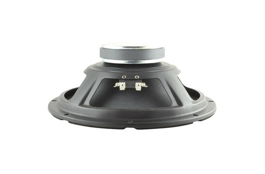 10 D 1,5 CS - 8 10" Full-range driver
