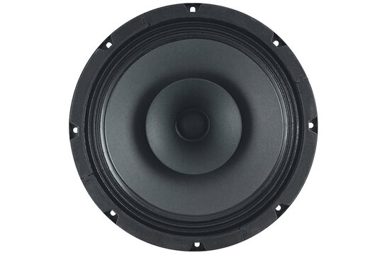 10 D 1,5 CS - 8 10" Breitbandlautsprecher