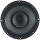10 D 1,5 CS - 8 10" Full-range driver
