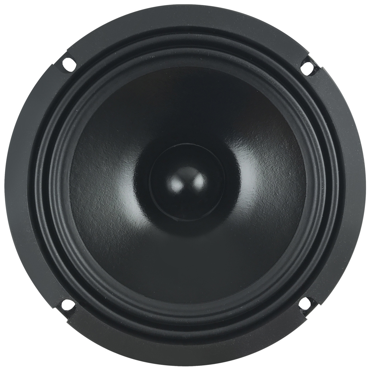 6 E 1,5 CS - 8 6" Woofer Medio-Bassi Professionale