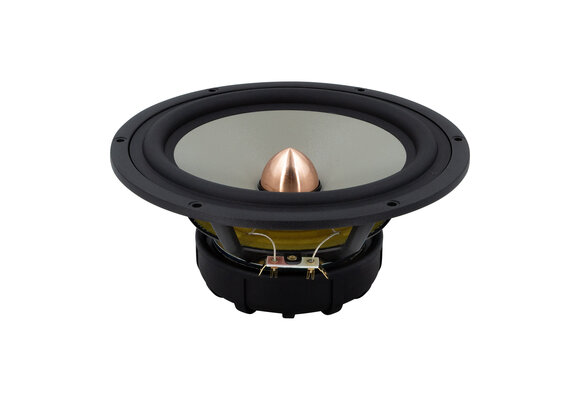 Excel W22EX/001 - E0022 Woofer Medio-Bassi