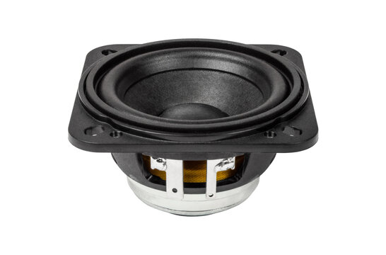 2FE24-4F Full-range Woofer