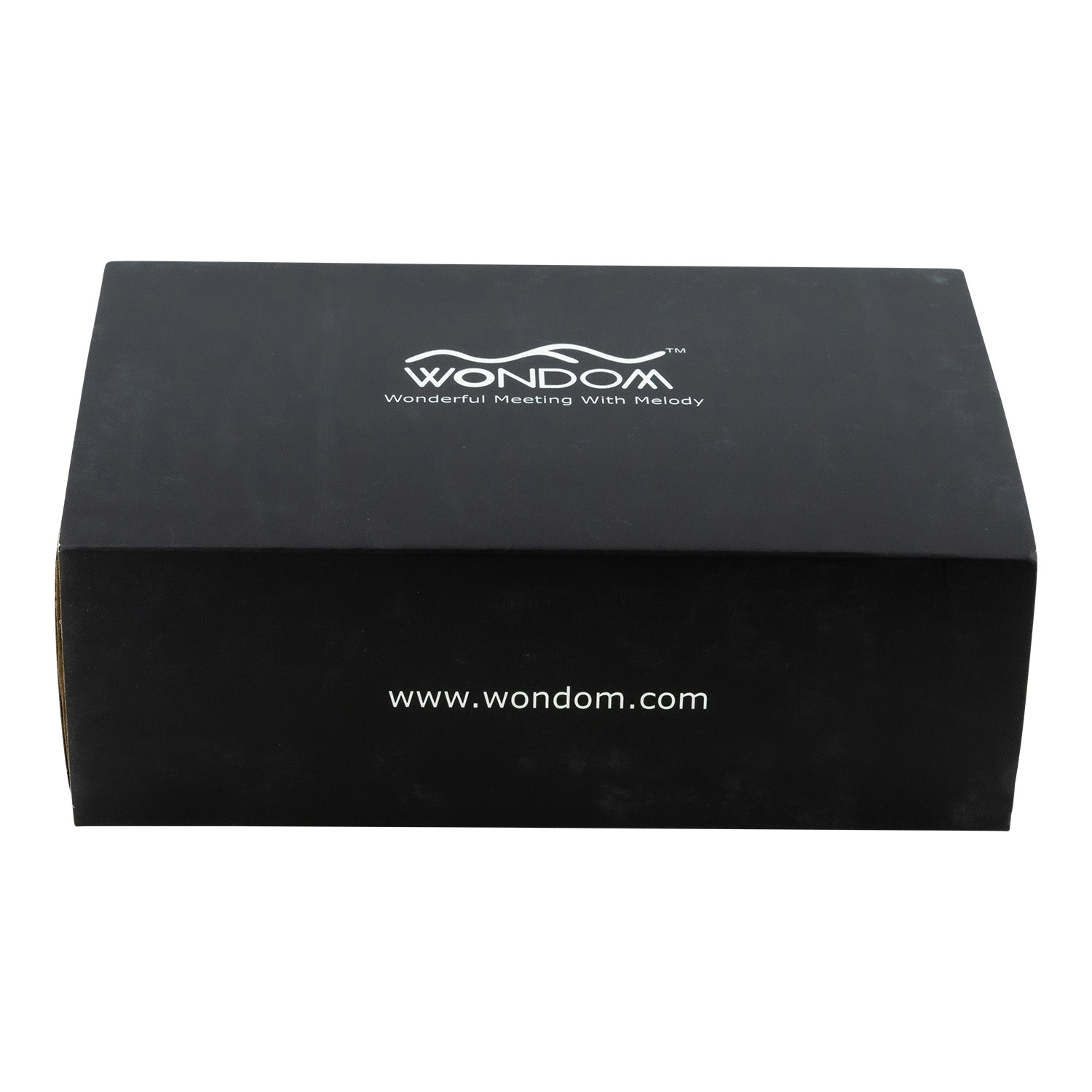AA-AS32992 WPA2X20 2x20W Mini Waterproof Amplifier for Marine & Automotive
