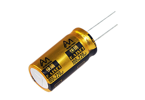 CAP-100-R-220U-100V | 220 µF | 20% | 100 V