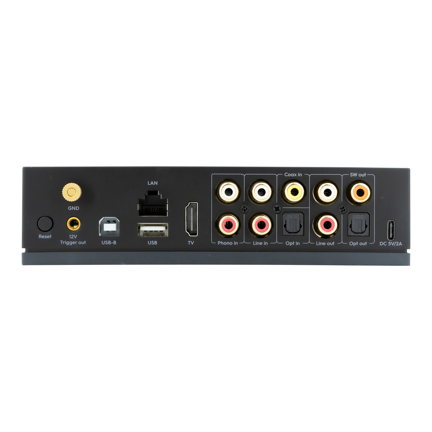 LP100 AirPlay 2 and Google Cast Music Streamer