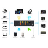 LP20 AirPlay 2 and Google Cast Music Streamer