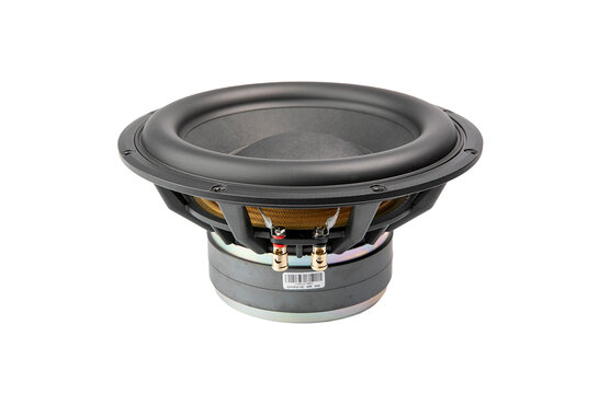 101FHWX8 10" Subwoofer 8 ohms