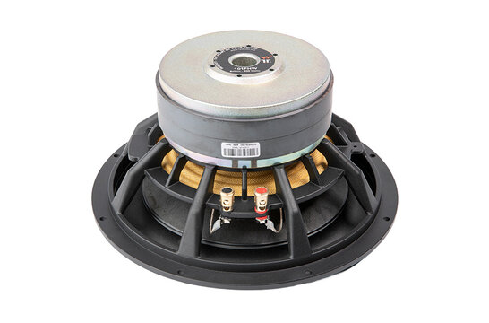 101FHWX8 10" Subwoofer 8 ohms
