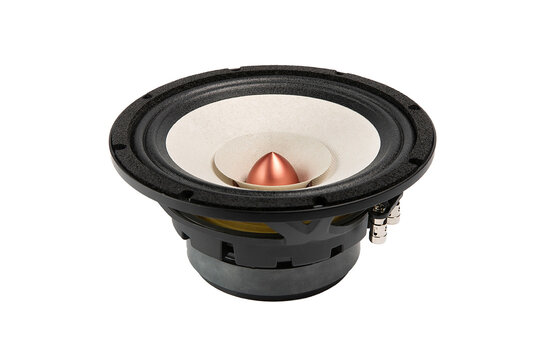 8FR 8" Full-range woofer 4 ohms