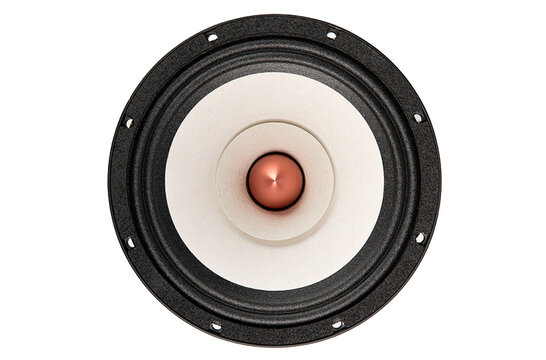 8FR 8" Full-range woofer 4 ohms