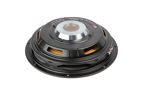 Twiggy12 12" Shallow subwoofer 4 ohms