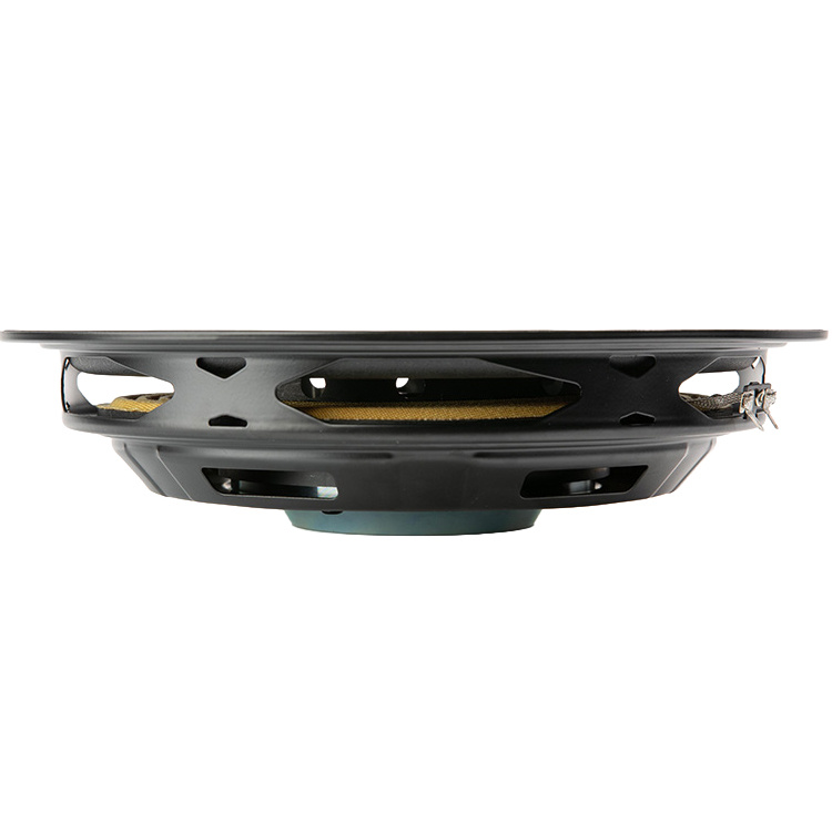 Twiggy12 12" Shallow subwoofer 4 ohms