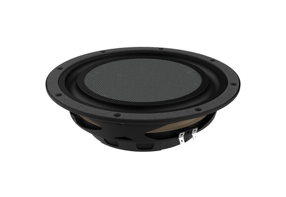 Twiggy10 Subwoofer