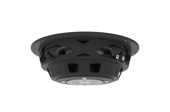 Twiggy10 10" Shallow Subwoofer 4 ohms