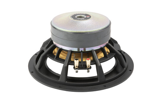 10FHWX8 10" Subwoofer 8 ohms