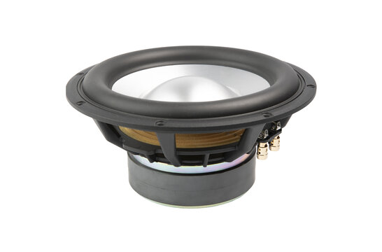 10FHWX4 10" Subwoofer 4 ohms