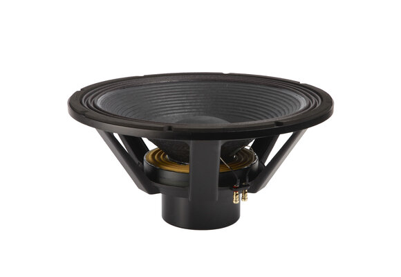 21NPW Subwoofer