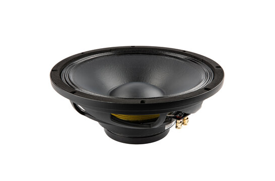 121NPM 12" Bass-mid woofer 8 ohms