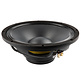121NPM 12" Bass-mid woofer 8 ohms