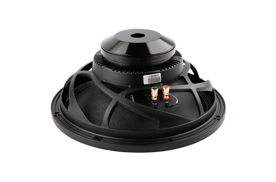 121NPM 12" Bass-mid woofer 8 ohms