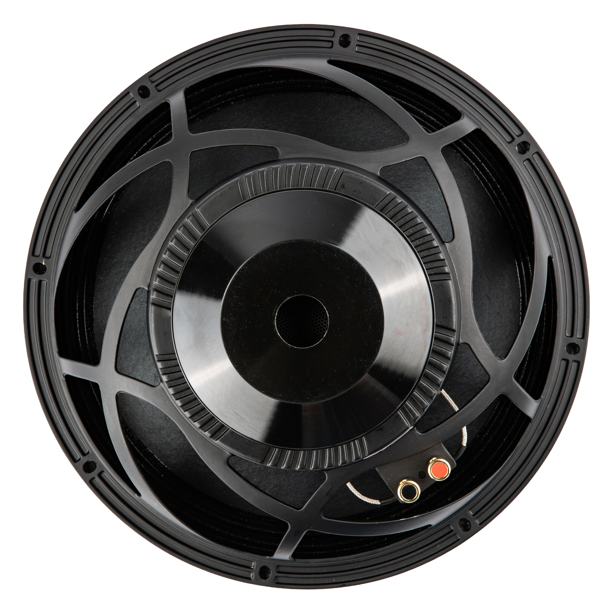 121NPM 12" Bass-mid woofer 8 ohms