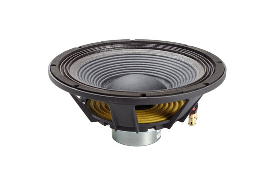 101NPM 10" Bass-mid woofer 8 ohms