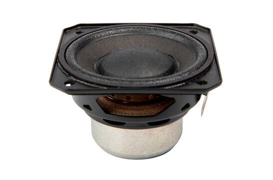 22NFR 2" Full-range woofer 8 ohms
