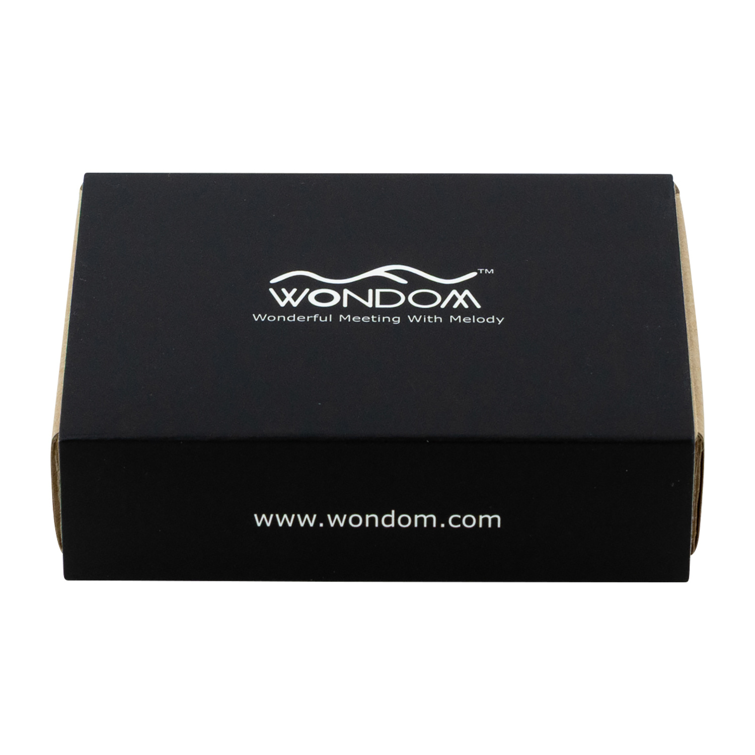 AA-KA32172 2x3W KAB0 4 ohm Class-D Amplifier module