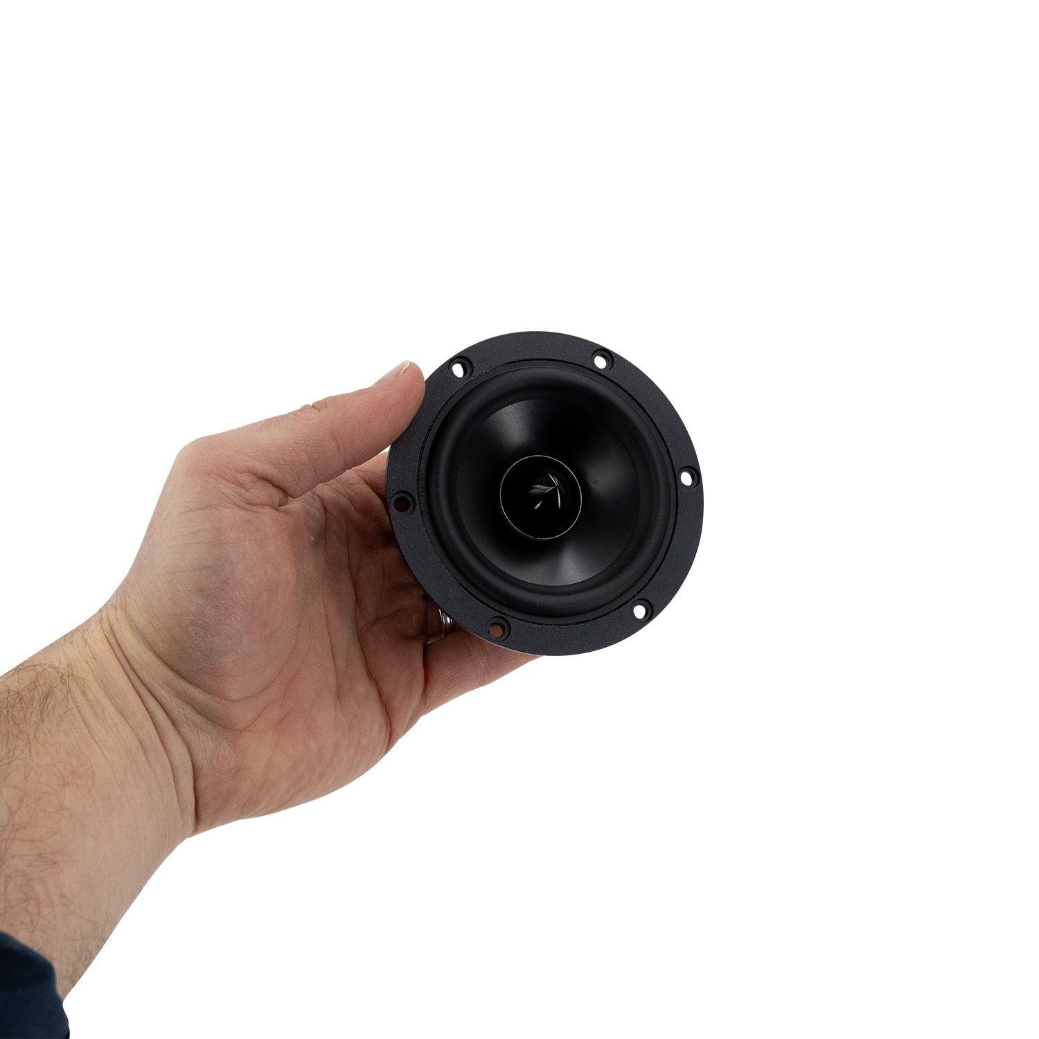 Reference RS100P-4 Full-range Woofer